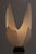 1970s Roger Rougier 1970s Acrylic Floriform Blooming Tulip Table Lamp For Sale - Image 5 of 7