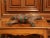19th Century French Leather and Papier Mâché Horse Sculpture With Horsehair Mane For Sale - Image 9 of 10