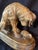 Metal 1900s Bronze of Chien À La Tortue, Dog With Tortoise, Depicting a Hound Observing a Turtle, Originally Designed by French Sculptor Alfred Jacquemart For Sale - Image 7 of 10