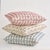 Mid-Century Modern Schumacher Coquina 20" Pillow in Natural For Sale - Image 3 of 3