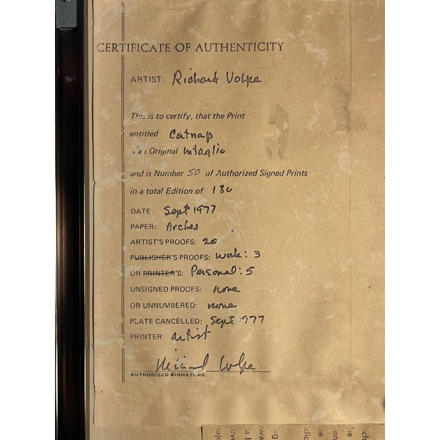 Brown 1970s Richard Volpe Catnap Limited Edition Intaglio Etching 50/180 Signed Framed For Sale - Image 8 of 9