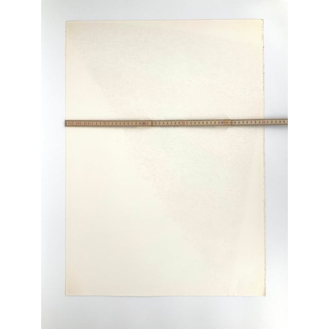 Piero Dorazio, Istrio, 1976, Color Lithograph For Sale - Image 7 of 8