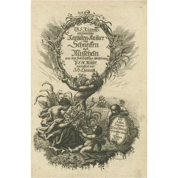 Paper German Frontispiece of Rumphius Cabinet of Curiosities, 1765, Paper For Sale - Image 7 of 7