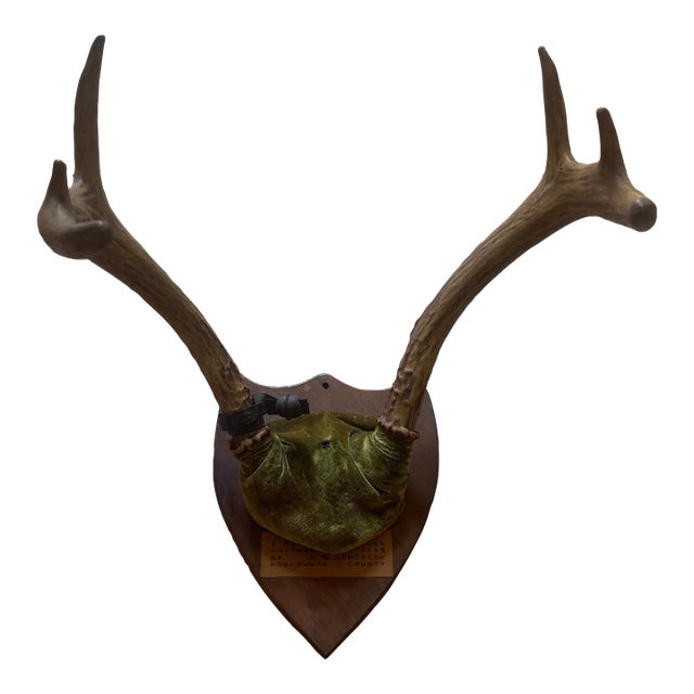 1948 Wall Hanging Vintage Antler Wall Hanging Plaque Mount With Velvet For Sale