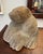 1970s 1970s Inuit Wilson Oozeva Carving of Polar Bear For Sale - Image 5 of 11