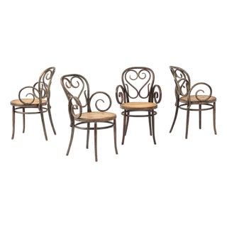 Set of 4 Vintage Bentwood Chairs For Sale