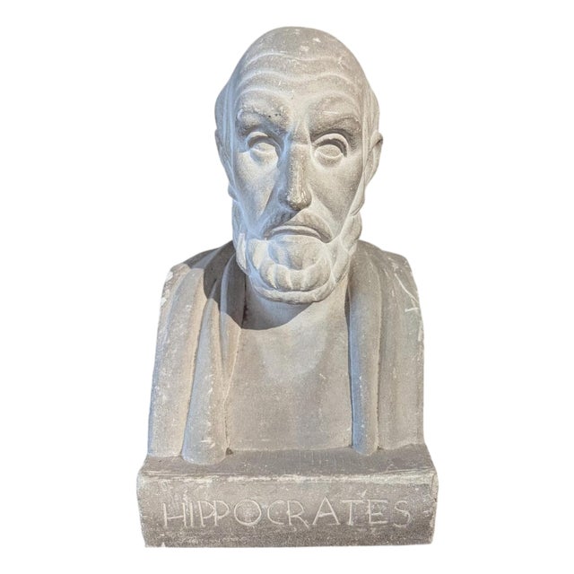 French School Artist, Bust of Hippocrates, 19th Century, Stone For Sale