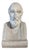 French School Artist, Bust of Hippocrates, 19th Century, Stone For Sale