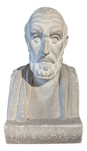 French School Artist, Bust of Hippocrates, 19th Century, Stone