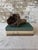 Natural Wood Tree Flower Sculpture / Organic Botanical Decor Object For Sale - Image 9 of 9