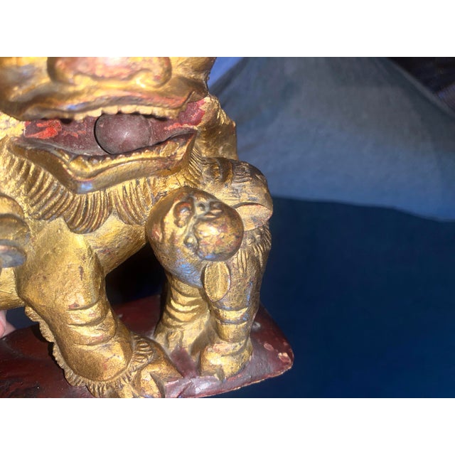 Pair Late 19th Century Chinese Carved Giltwood Male & Female Guardian Foo Dogs With Cub Attached to Female For Sale - Image 12 of 12