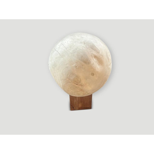 Andrianna Shamaris Sculptural Bleached Sphere on a Stand For Sale - Image 11 of 18