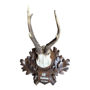 Roe Deer Trophy 160 Black Forest Antlers