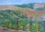 2020s Sonoma Vines, Contemporary Plein Air Oil Painting For Sale - Image 5 of 10