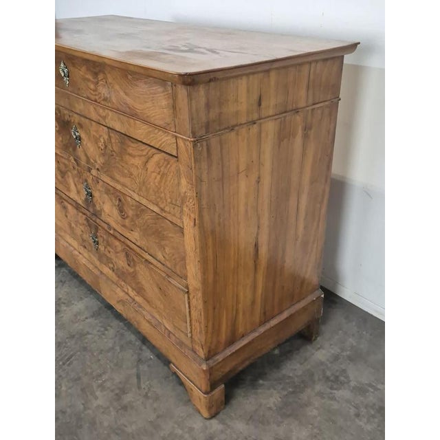 Louis Philippe Style Chest of Drawers in Burr Walnut Veneer For Sale - Image 5 of 12