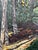 Early 21st Century Olde World Charm by Deb Komitor | Oil on cradle board Landscape with trees and a stream For Sale - Image 5 of 5