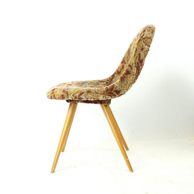 Mid-Century Shell Chair attributed to Miroslav Navratil, Former Czechoslovakia, 1960s For Sale - Image 9 of 14