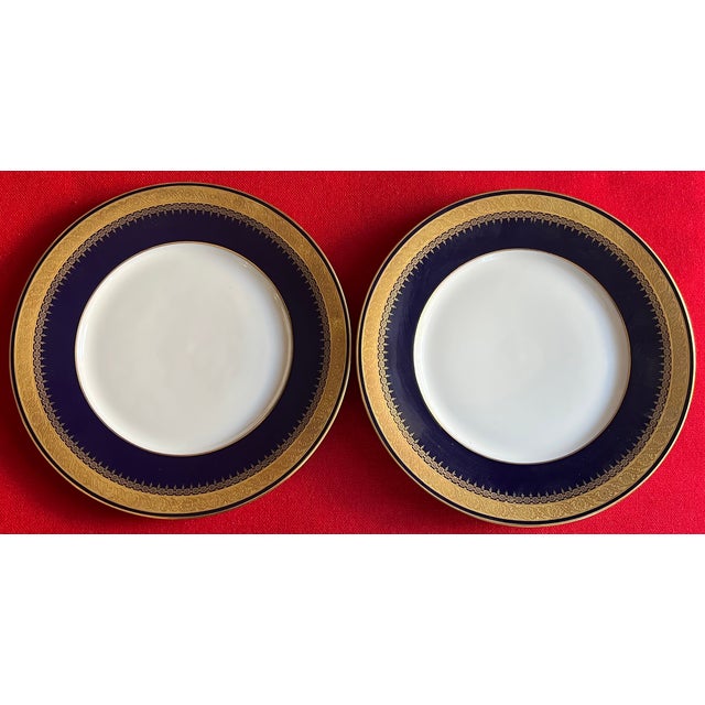 German Cobalt Blue and White Porcelain Dinner Plates With Gold Rims by Hohenberg Ware Hutschenreuther Bavaria - Set of 12 For Sale - Image 9 of 14