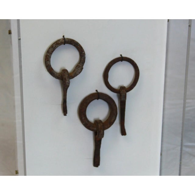 Affichage Materiel, AVOIR's custom designed artwork, beautifully displays antique rustic oar locks in an acrylic case to...