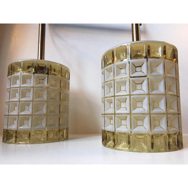 Mid-Century Glass & Brass Dual Pendant Lamp from Orrefors, 1960s For Sale - Image 6 of 8