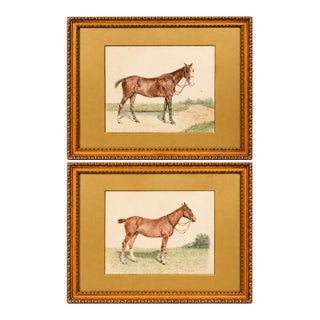 Rare Pair Antique English Horse Portraits on Silk Hand Painted Equestrian Sporting Art Home Decor For Sale