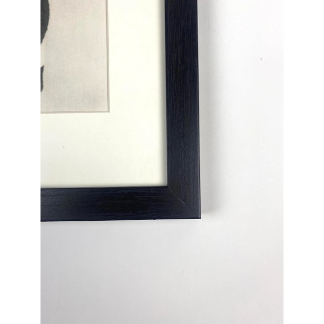 Photorealism 1940s Framed Botanical Blossfeldt Print - No. 59 For Sale - Image 3 of 5