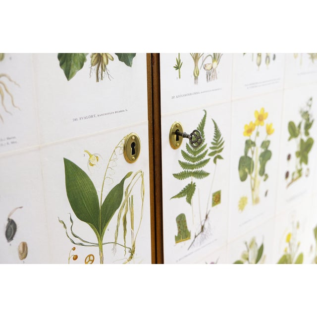 Wood Swedish Modern Flora Cabinet with Illustrations by C.A.M Lindman, 1940s For Sale - Image 7 of 9