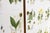 Wood Swedish Modern Flora Cabinet with Illustrations by C.A.M Lindman, 1940s For Sale - Image 7 of 9