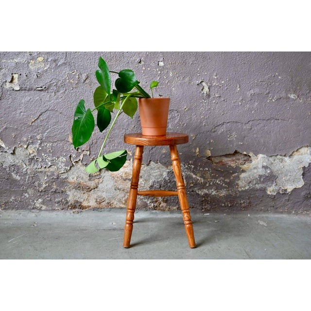 Made entirely of light-colored wood, this rustic stool seems to come straight from a farm or an alpine chalet. In solid...