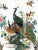 White Large Chinese White Porcelain Imari Style Umbrella Stand With Green Peacocks & Floral Scenes For Sale - Image 8 of 11