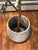 Traditional Textured Cement Pot Planter For Sale - Image 3 of 4