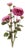 Zinnia Flower Bundle (Set of 2) For Sale