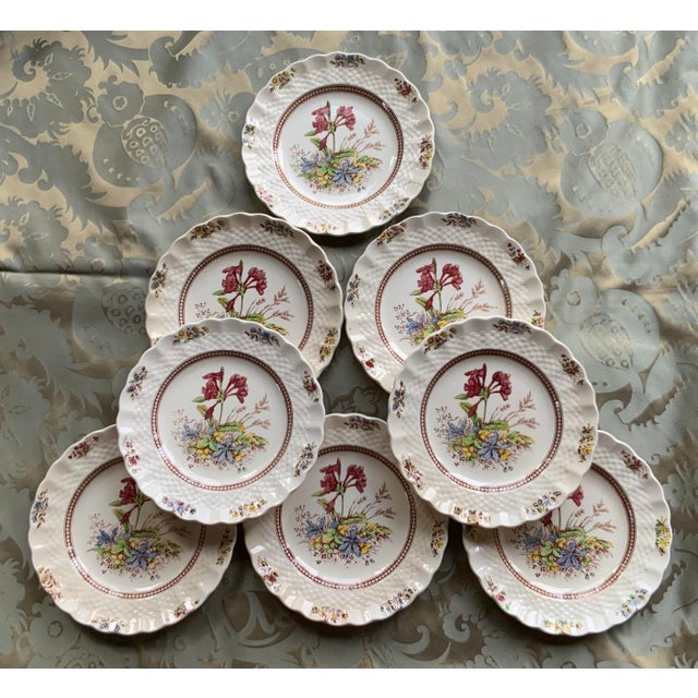 Antique Copeland Spode Dinner Plates Set of 8 Chairish