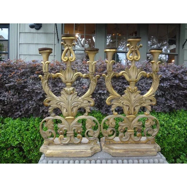 Magnificent pair of Italian Baroque giltwood altar candelabra. This stunning huge pair of Italian Baroque pricket altar...