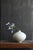 This is a white porcelain jar from the Joseon (Korean) dynasty, made on the Korean Peninsula. Judging from the...