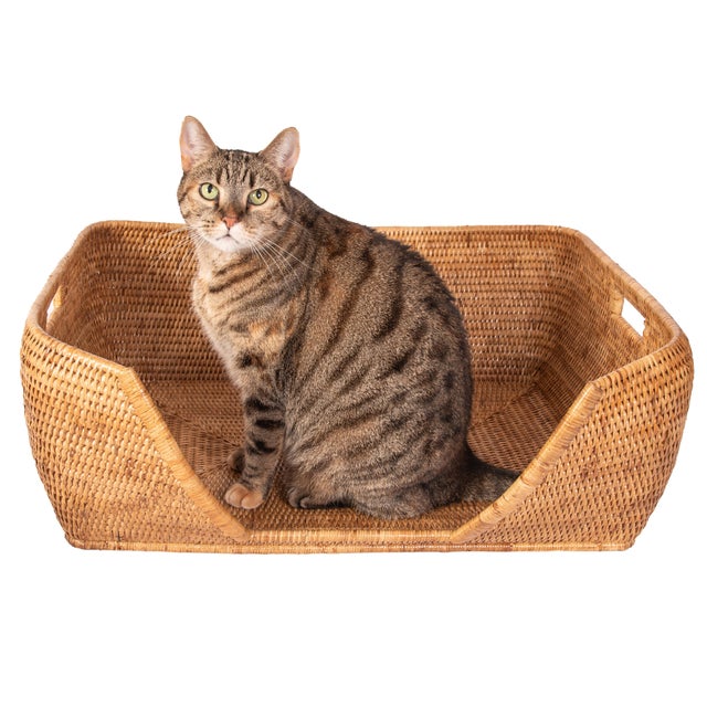 Introducing our Handcrafted Burmese Rattan Dog Bed, where comfort meets craftsmanship! The tight weave provides a plush...