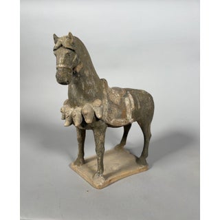 Sculpture of a Mingqi warhorse, China, Tang Dynasty (618-907) For Sale