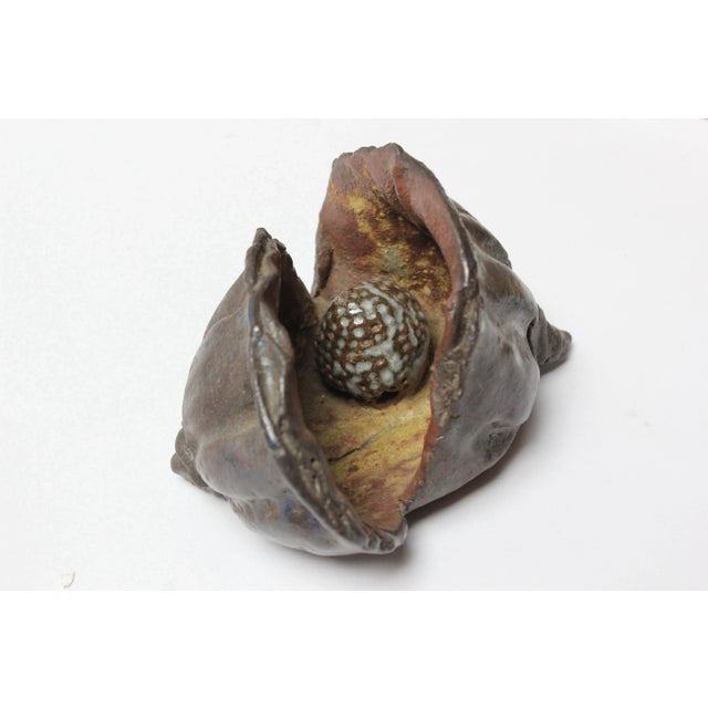 Three studio ceramic abstract nature specimens in attractive earth tones depicting two podded beans and an oversized acorn...
