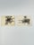 Folk Art Ree Brown Outsider Artist Tiny Flower Paintings a Pair 1994 For Sale - Image 3 of 6
