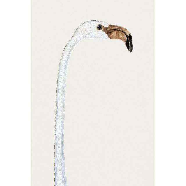 Greater Flamingo Reproduction Art Print by Robert Jacob Gordon, 24" × 36" For Sale - Image 4 of 7