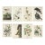 Vintage John James Audubon Reproduction Prints —Grouse, Shrike, Finch, Titmouse, Wren, Falcon, Crossbill and Warbler - Collection of 4 For Sale