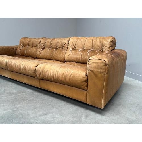 Vintage DS40 Sofa by Robert Haussmann for de Sede, 1970s For Sale - Image 9 of 16