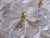 Vintage Wall Sconces in Crystal and Brass by Ernst Palme, Germany, 1960, Set of 2 For Sale - Image 15 of 18