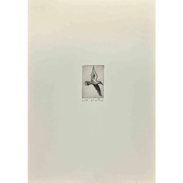 Dove is an Etching realized by Enotrio Pugliese in 1963. Limited edition of 16 copies numbered and signed by the artist....