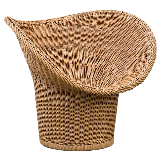 E20 Wicker Chair by Egon Eiermann for Heinrich Murmann For Sale