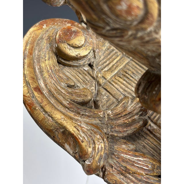 19th Century Renaissance Revival Giltwood Griffin Wall Bracket For Sale - Image 9 of 15