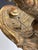 19th Century Renaissance Revival Giltwood Griffin Wall Bracket For Sale - Image 9 of 15