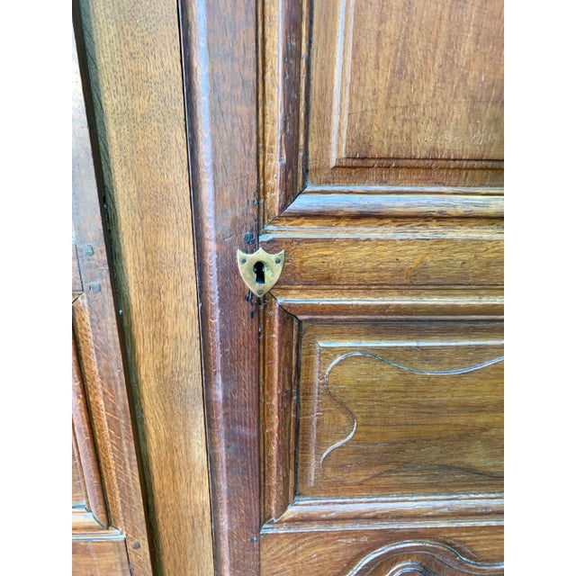 Brown 19th Century French Armoire Doors - a Pair For Sale - Image 8 of 12