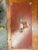 Wood Antique Abercrombie & Fitch Tackle Box For Sale - Image 7 of 9