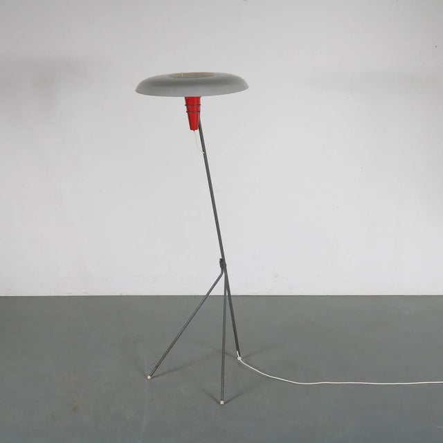 Philips Dutch Model NX38 Floor Lamp by Louis C. Kalff for Philips, 1950s For Sale - Image 4 of 12